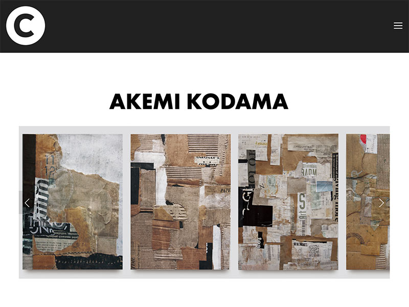 CAPSULES BOOK HP Akemi Kodama